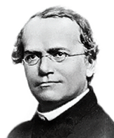 Mendel