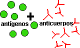 Antígenos y antuicuerpos