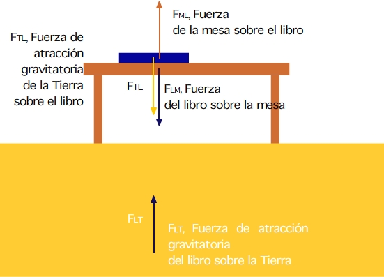 Acción y reacción entre el libro y la mesa