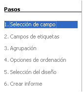 pasos informe