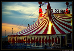 circus /'sɜ:kəs/