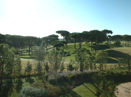 Parque con árboles y senderos