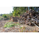 Muestra Imagen Materia prima - Coste variable