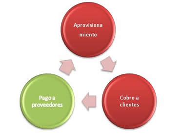 Esquema del periodo de maduración económico