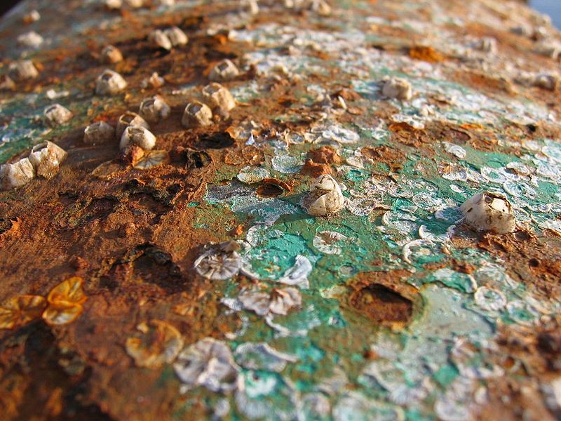 Oxidación